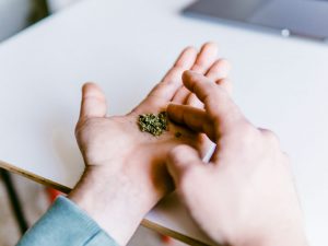 Marijuana Withdrawal